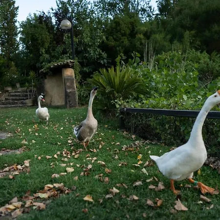 Pensionat Pastorelli Pergusa